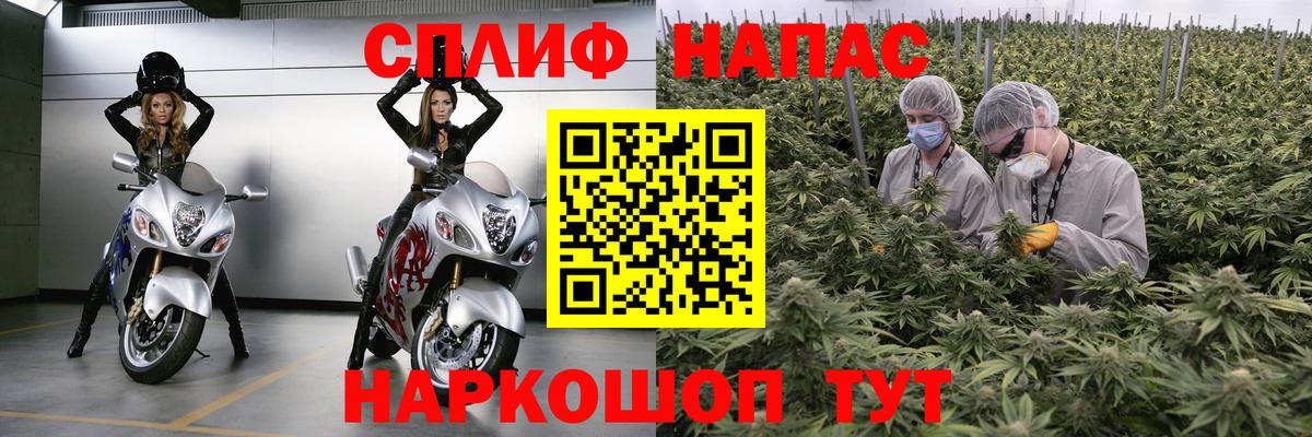 Канабис AK-47 Ставрополь